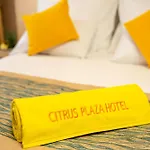 Citrus Plaza 4*